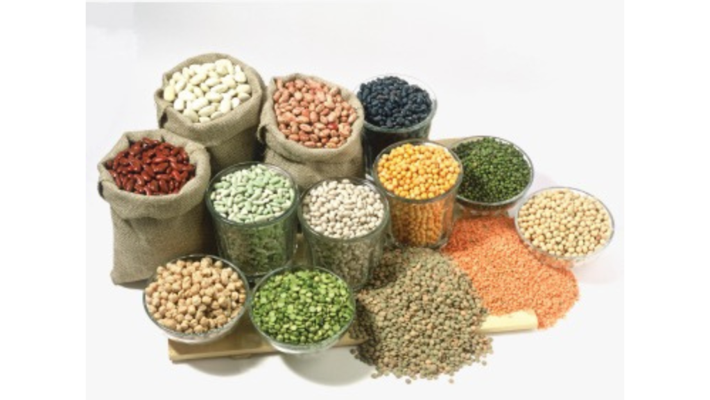 Legumes Banner Image