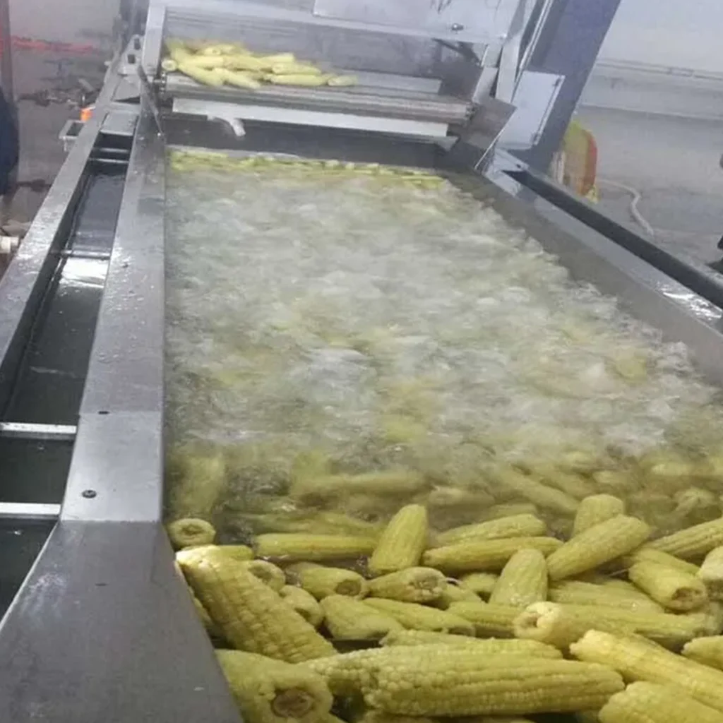 sweet-corn-cobs-blanching